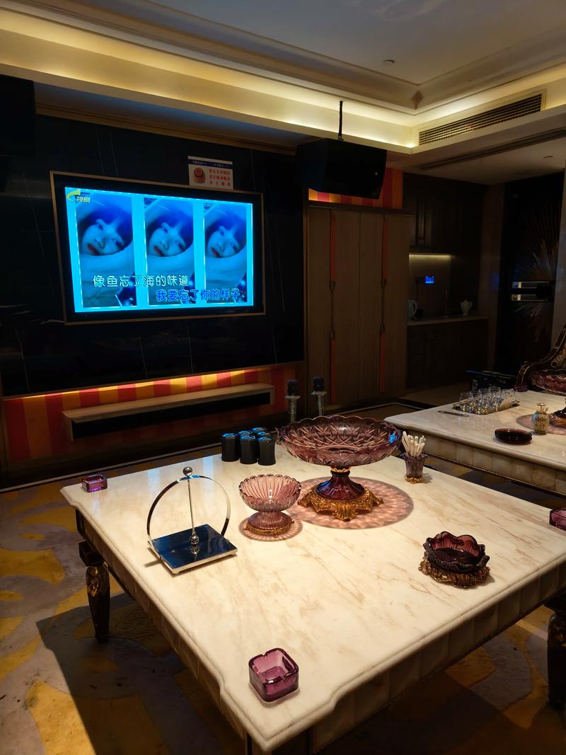 潍坊商务ktv引领商务ktv新模式-安丘市ktv预定